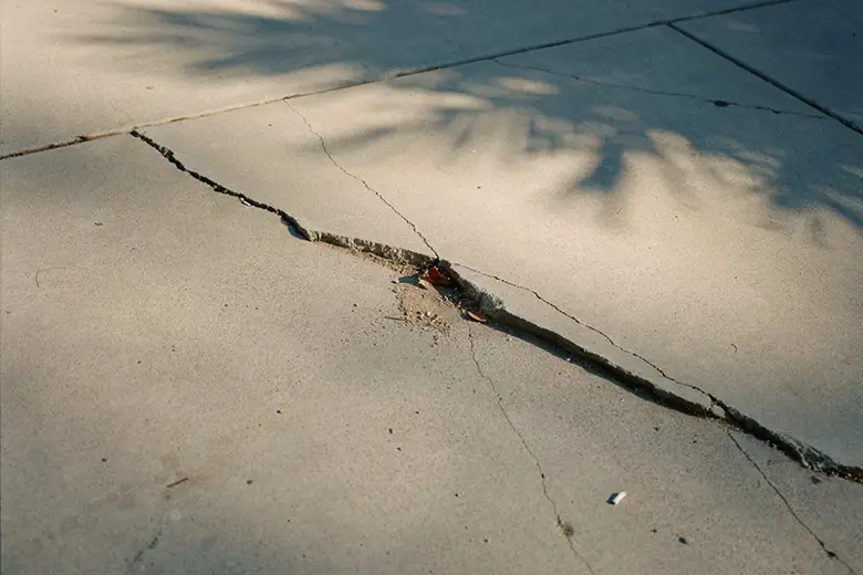 Website Accessibility Lawsuits in California A cracked concrete sidewalk with the shadow of a palm tree falling across it