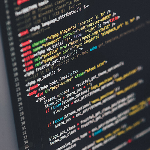 Shopify Web Development